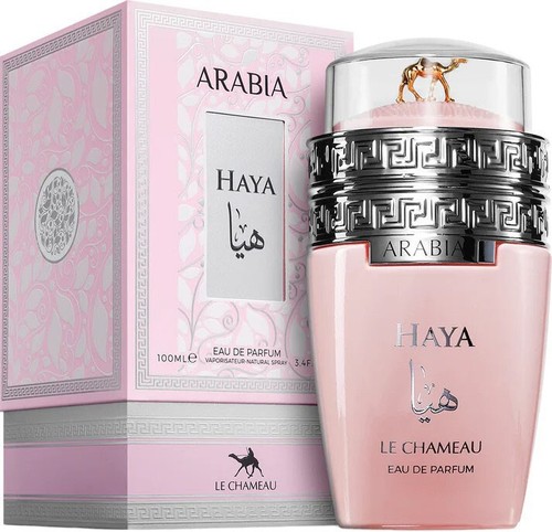 Emper chameau arabia haya - chameau,