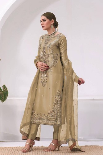 Indian salwar kameez hochzeit - salwar,