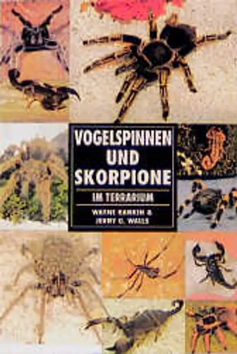 Vogelspinnen und skorpione - vogelspinnen,