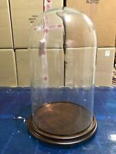 Glashaube Cloche Glas Haube