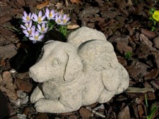 Hund mit Flügeln hockend