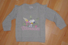 super Sweatshirt Pullover