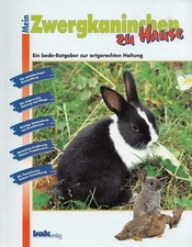 Mein Zwergkaninchen zu Hause: Ein bede-Ratgeber zur artgerrechten Haltung - Step