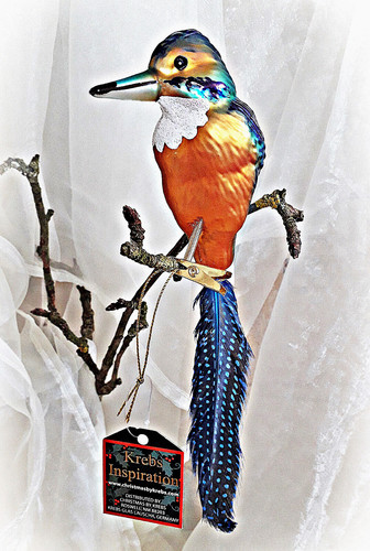 Eisvogel glasvogel lauscha - ❀,