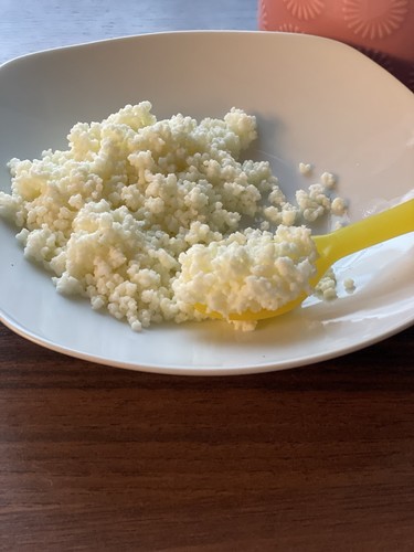 Kefir kefirknollen kefirpilz - kefir,