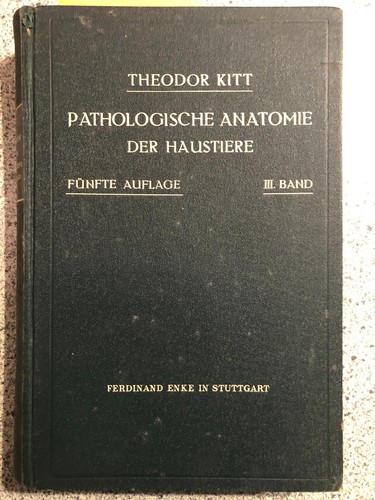 Pathologische anatomie der - pathologische,