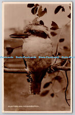 R773800 Australian Kookaburra