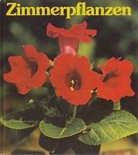 Buch Zimmerpflanzen von A bis Z - guter Zustand