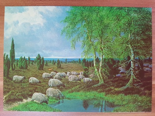 Schöne alte ansichtskarte - schöne,
