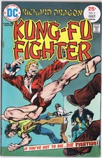 RICHARD DRAGON KUNG-FU FIGHTER