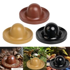 Futternapf für Reptilien