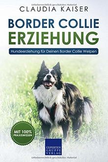 Border collie erziehung - border,