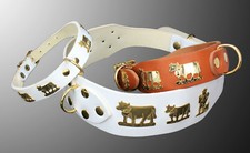 Hunde Halsband Orginal