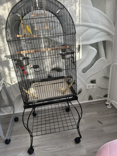 Schwarzer vogelkäfig auf - schwarzer,