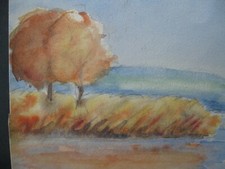 CHIEMSEE - feines Original