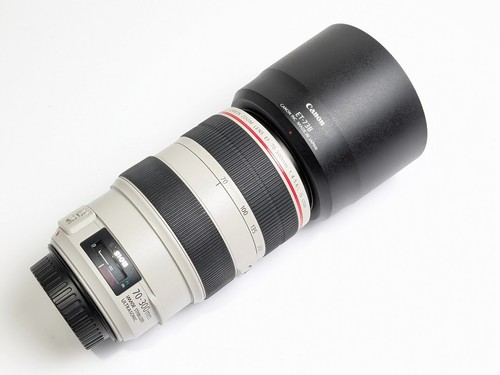 Canon 300mm 5 6 - 70-300mm, l
