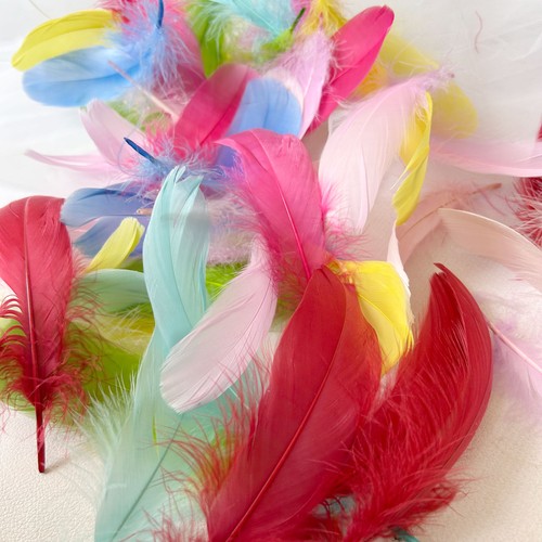 Farben lose federn - 80,