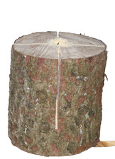 Schwedenfeuer Baumfackel