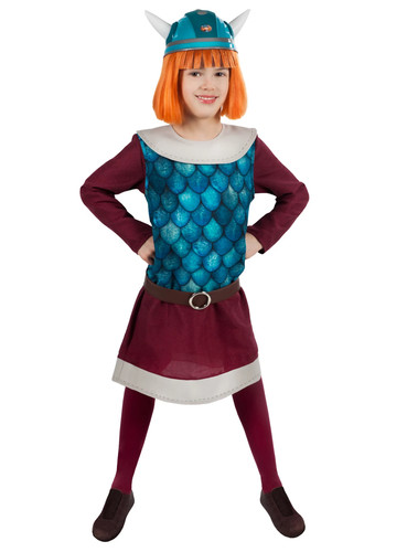 Wikinger wickie karneval - wikinger,