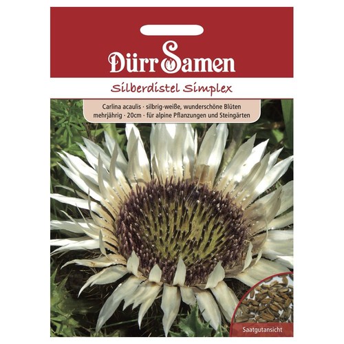 Dürr samen saatgut - dürr,