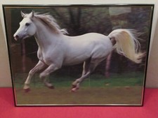 Kunst Reproduktion Wandbild Bild Kunstdruck Weißes Pferd Schimmel