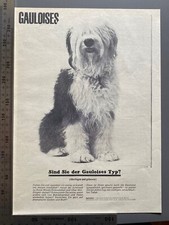 Gauloises Cigaretten Bobtail