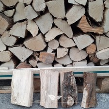 Brennholz buche 3 - buche, paletten