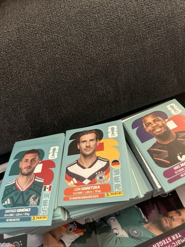 Panini sticker 2026 suche - panini, wm