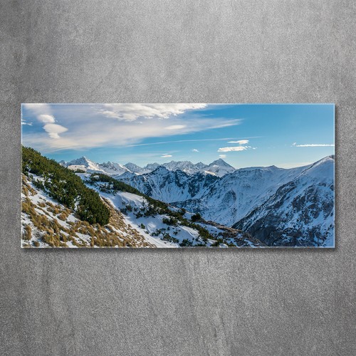 Acrylglas bild wandbilder - acrylglas-bild,