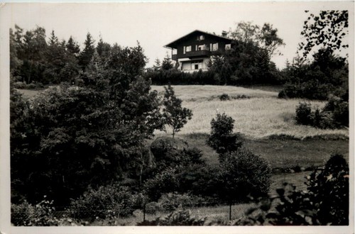 Bei haynau 600218 - haynau, -600218