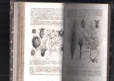 seltene JOURNAL DE MEDICINE