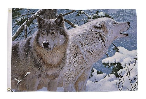 Wölfe schnee szene wolf - schnee,