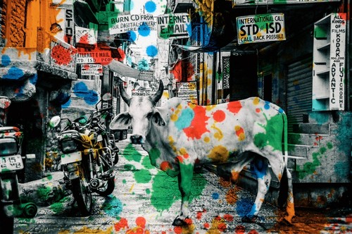 Motiv crazy street - motiv,
