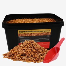 5 Liter Bachflohkrebse Koifutter Koi Gammarus Vogel Reptilien im Eimer +Schaufel