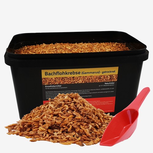 Liter bachflohkrebse - 5,