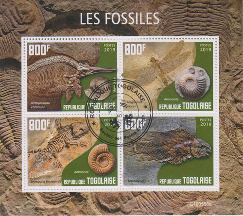 Fosilien togo gestempelt 6886 - fosilien,