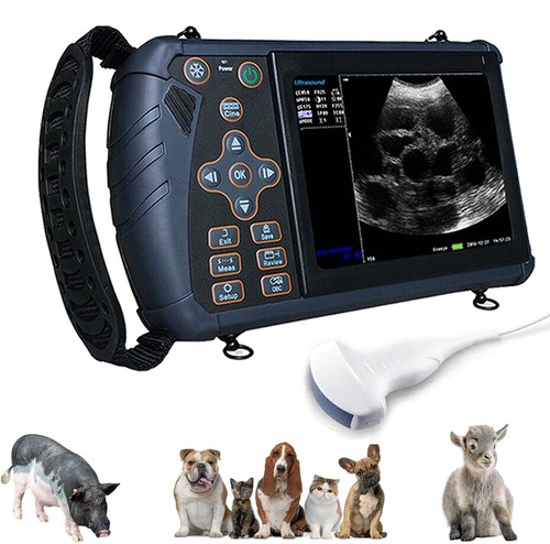 Tragbarer veterinär - tragbarer,