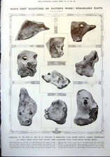 Alte Steine ähneln Tierformen