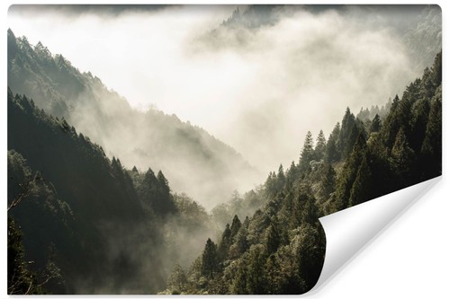 Selbstklebende fototapete wald - selbstklebende,