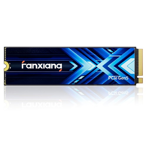 Fanxiang gen 5x4 ssd - m.2, 1tb