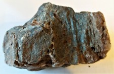 Verkieseltes holz aus der - aus,