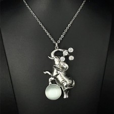 KETTE & ANHÄNGER MIT KRISTALL PALLADINIERT SCHMUCKJAGD