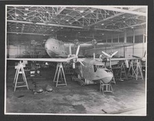 ORIGINAL FOTO SHORTS