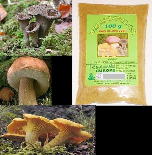 Pilze steinpilze pilzpulver - steinpilze,