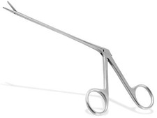 Haustier Pflege Hunde Ohr Haar