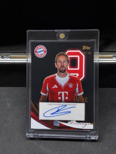 Harry kane auto jersey - kane,