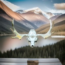 Eindrucksvolles ELCHGEWEIH