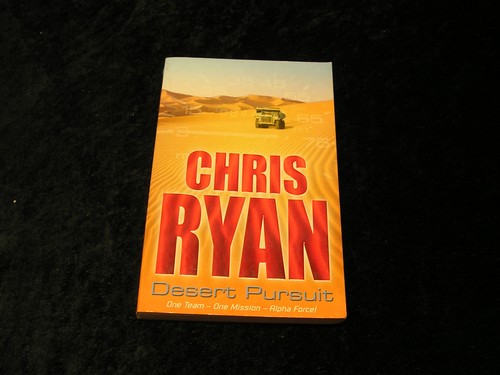Desert pursuit - desert,