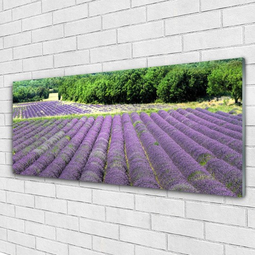 Glasbilder wandbild druck auf - wandbild,