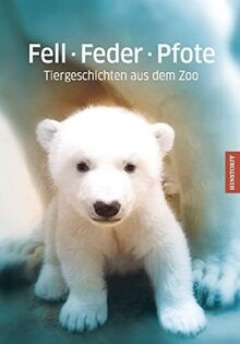 Fell feder pfote - feder,
